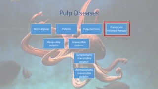 Pulp Diseases
 