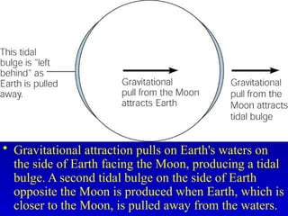 • Gravitational attraction pulls on Earth's waters on
the side of Earth facing the Moon, producing a tidal
bulge. A second tidal bulge on the side of Earth
opposite the Moon is produced when Earth, which is
closer to the Moon, is pulled away from the waters.
 
