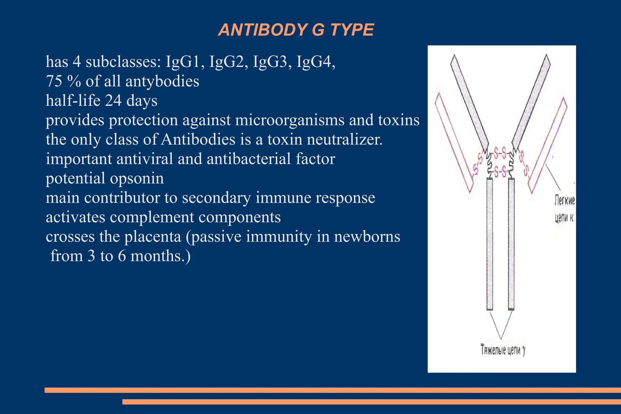 Antigens and antibody of human body part.ppt