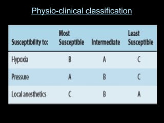2. Classification a Properties of Nerve Fibres.pptx