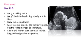 Fetal stage.
Month 8
 Baby is kicking more.
 Baby’s brain is developing rapidly at this
time.
 Baby can see and hear.
 Most internal systems are well developed,
but the lungs may still be immature.
 End of the month baby about 18 inches
long and weight about 5 pounds.
 