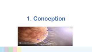 1. Conception
 
