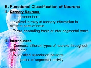 Segmental Integration 2.Spinal Cordhjdjdjdjdbdjjdndnd - 1.pptx