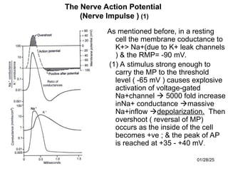2.Signal transduction in a cell+Nerve_Lecture2007.ppt