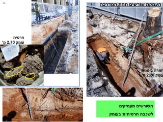‫בינונית‬ ‫חמרה‬
‫עומק‬
2.20
‫מ‬
'
‫המדרכה‬ ‫תחת‬ ‫שורשים‬ ‫העמקת‬
‫חרסית‬
‫עומק‬
2.70
‫מ‬
'
‫מעמיקים‬ ‫השורשים‬
‫בעומק‬ ‫חרסיתית‬ ‫לשכבה‬
-
5
-
 