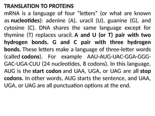 Sentence For Dna genetics structure and function of DNA and RNA | PPTX