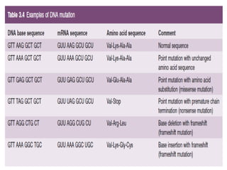 genetics structure and function of DNA and RNA | PPTX