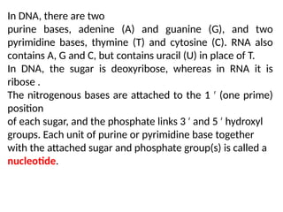 genetics structure and function of DNA and RNA | PPTX