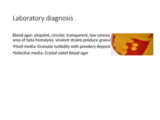 Laboratory diagnosis
Blood agar: pinpoint, circular, transparent, low convex colonies with clear
area of beta hemolysis, virulent strains produce granular colonies
•Fluid media: Granular turbidity with powdery deposit in 24 hrs.
•Selective media- Crystal violet blood agar
 