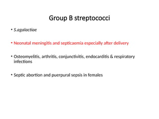 Group B streptococci
• S.agalactiae
• Neonatal meningitis and septicaemia especially after delivery
• Osteomyelitis, arthritis, conjunctivitis, endocarditis & respiratory
infections
• Septic abortion and puerpural sepsis in females
 