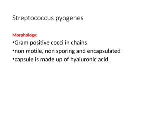 Streptococcus pyogenes
Morphology:
•Gram positive cocci in chains
•non motile, non sporing and encapsulated
•capsule is made up of hyaluronic acid.
 