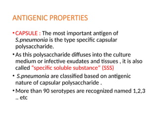 ANTIGENIC PROPERTIES
•CAPSULE : The most important antigen of
S.pneumonia is the type specific capsular
polysaccharide.
•As this polysaccharide diffuses into the culture
medium or infective exudates and tissues , it is also
called “specific soluble substance” (SSS)
• S.pneumonia are classified based on antigenic
nature of capsular polysaccharide .
•More than 90 serotypes are recognized named 1,2,3
.. etc
 