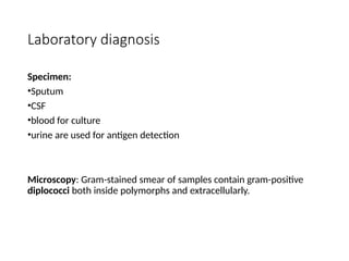 Laboratory diagnosis
Specimen:
•Sputum
•CSF
•blood for culture
•urine are used for antigen detection
Microscopy: Gram-stained smear of samples contain gram-positive
diplococci both inside polymorphs and extracellularly.
 