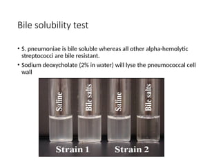 Bile solubility test
• S. pneumoniae is bile soluble whereas all other alpha-hemolytic
streptococci are bile resistant.
• Sodium deoxycholate (2% in water) will lyse the pneumococcal cell
wall
 
