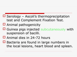  Serology – Ascoli’s thermoprecipitation
test and Complement Fixation Test.
 Animal pathogenicity
 Guinea pigs injected subcutaneously with
suspension of bacilli.
 Animal dies in 24-72 hours
 Bacteria are found in large numbers in
the local lesions, heart blood and spleen.
 