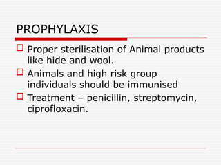 PROPHYLAXIS
 Proper sterilisation of Animal products
like hide and wool.
 Animals and high risk group
individuals should be immunised
 Treatment – penicillin, streptomycin,
ciprofloxacin.
 