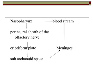 Nasopharynx blood stream
perineural sheath of the
olfactory nerve
cribriform plate Meninges
sub archanoid space
 