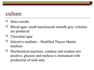 culture
 Strict aerobe
 Blood agar- small transluscent smooth grey colonies
are produced
 Chocolate agar
 Selective medium – Modified Thayer Martin
medium
 Biochemical reactions- catalase and oxidase test
positive, glucose and maltose is fermented with
production of acid only.
 