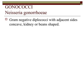 GONOCOCCI
Neisseria gonorrhoeae
 Gram negative diplococci with adjacent sides
concave, kidney or beans shaped.
 