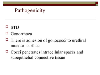 Pathogenicity
 STD
 Gonorrhoea
 There is adhesion of gonococci to urethral
mucosal surface
 Cocci penetrates intracellular spaces and
subepithelial connective tissue
 