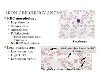 Iron Rbc Feedback 2. Disorder of RBC (Anemia and polycythemia).pptx