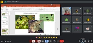 Відкрита лекція на тему «Зміна клімату та динаміка популяцій лісових комах-фітофагів»