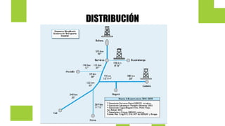 DISTRIBUCIÓN
 