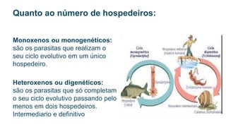 Monoxenos ou monogenéticos:
são os parasitas que realizam o
seu ciclo evolutivo em um único
hospedeiro.
Heteroxenos ou digenéticos:
são os parasitas que só completam
o seu ciclo evolutivo passando pelo
menos em dois hospedeiros.
Intermediario e definitivo
Quanto ao número de hospedeiros:
 