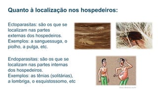 Ectoparasitas: são os que se
localizam nas partes
externas dos hospedeiros.
Exemplos: a sanguessuga, o
piolho, a pulga, etc.
Endoparasitas: são os que se
localizam nas partes internas
dos hospedeiros.
Exemplos: as tênias (solitárias),
a lombriga, o esquistossomo, etc
Quanto à localização nos hospedeiros:
 
