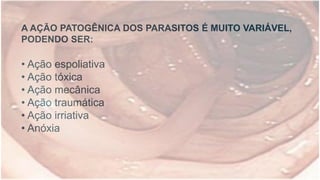 A AÇÃO PATOGÊNICA DOS PARASITOS É MUITO VARIÁVEL,
PODENDO SER:
• Ação espoliativa
• Ação tóxica
• Ação mecânica
• Ação traumática
• Ação irriativa
• Anóxia
 