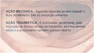 AÇÃO MECÂNICA - Algumas espécies podem impedir o
fluxo de alimento, bile ou absorção alimentar.
AÇÃO TRAUMÁTICA - É provocada, geralmente, pela
migração de formas larvais de helmintos, embora vermes
adultos e protozoários também possam fazê-lo
 