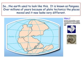 So….the earth used to look like this. It is known as Pangaea.
Over millions of years because of plate tectonics the places
moved and it now looks very different.
https://
www.youtube.com
/watch?v=zocutif0c
QY
 