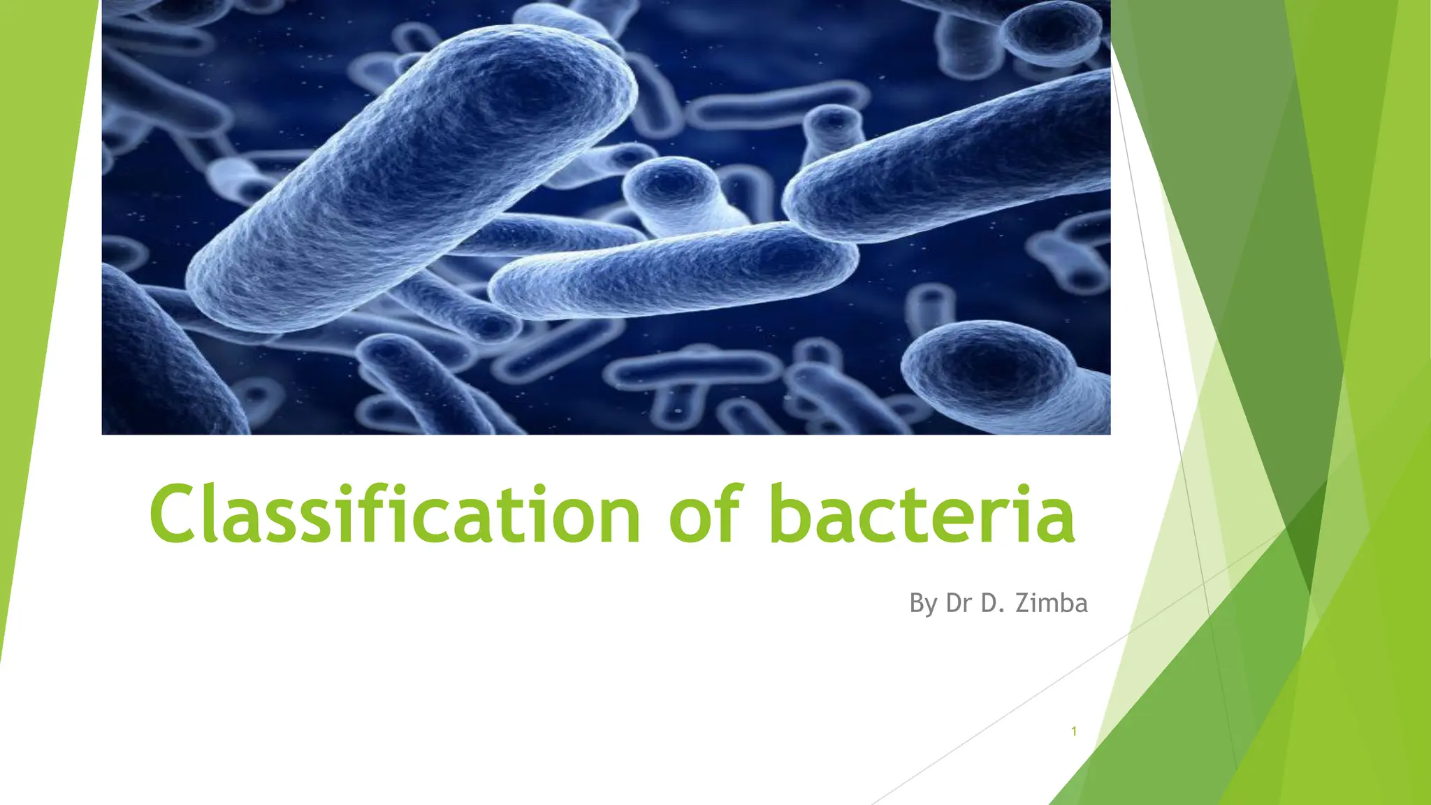 Classification of bacteria
By Dr D. Zimba
1
 
