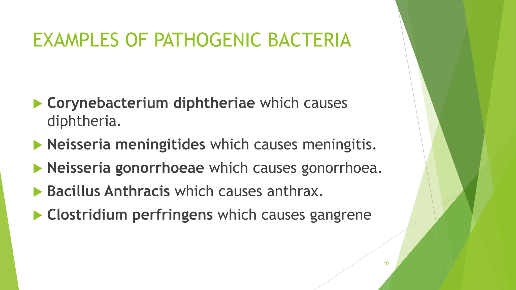 EXAMPLES OF PATHOGENIC BACTERIA
 Corynebacterium diphtheriae which causes
diphtheria.
 Neisseria meningitides which causes meningitis.
 Neisseria gonorrhoeae which causes gonorrhoea.
 Bacillus Anthracis which causes anthrax.
 Clostridium perfringens which causes gangrene
10
 