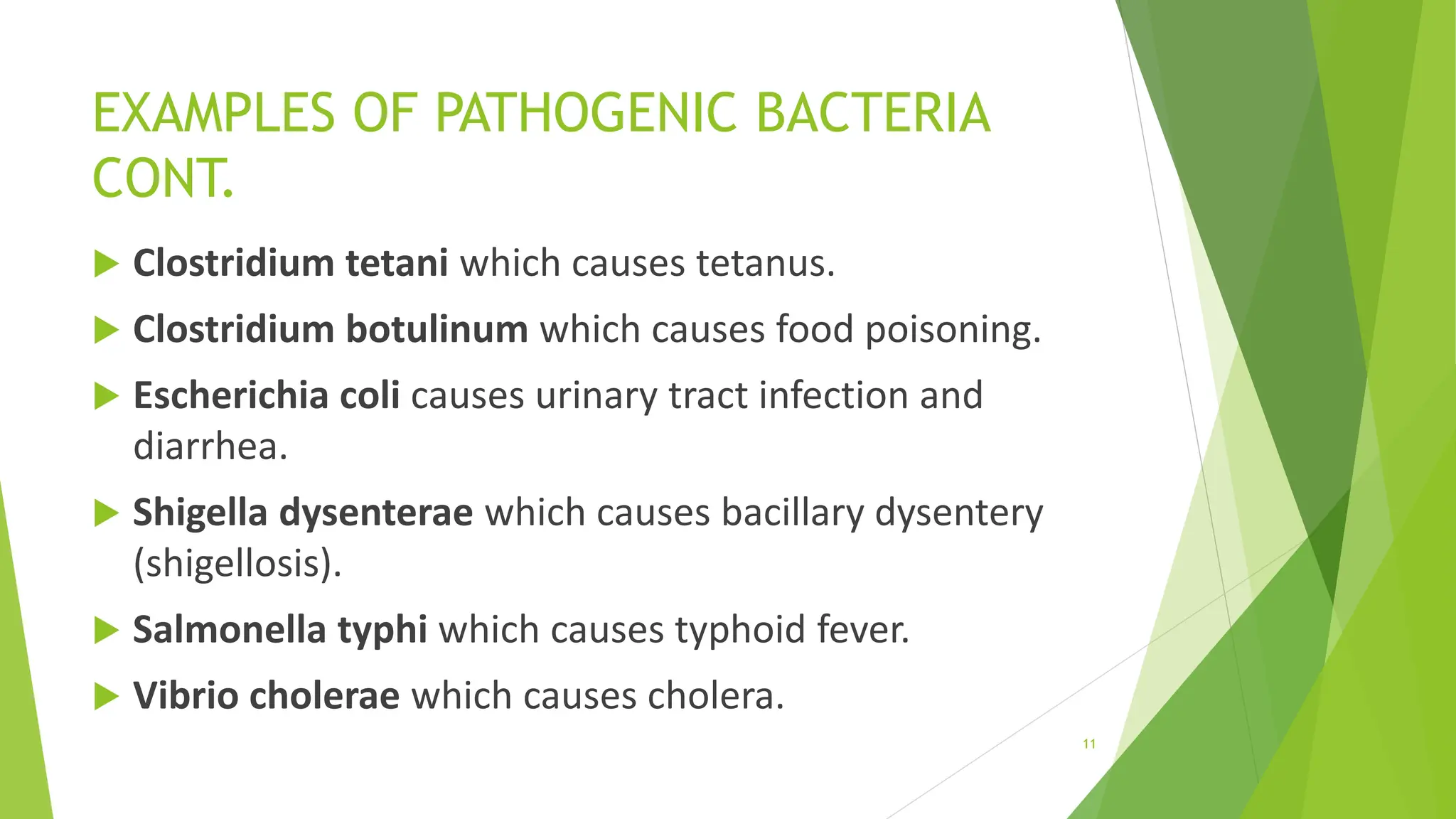 EXAMPLES OF PATHOGENIC BACTERIA
CONT.
 Clostridium tetani which causes tetanus.
 Clostridium botulinum which causes food poisoning.
 Escherichia coli causes urinary tract infection and
diarrhea.
 Shigella dysenterae which causes bacillary dysentery
(shigellosis).
 Salmonella typhi which causes typhoid fever.
 Vibrio cholerae which causes cholera.
11
 