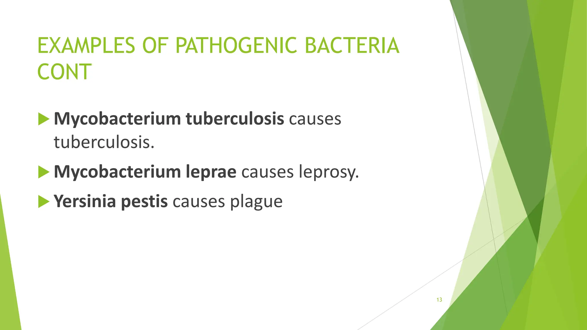 EXAMPLES OF PATHOGENIC BACTERIA
CONT
 Mycobacterium tuberculosis causes
tuberculosis.
 Mycobacterium leprae causes leprosy.
 Yersinia pestis causes plague
13
 