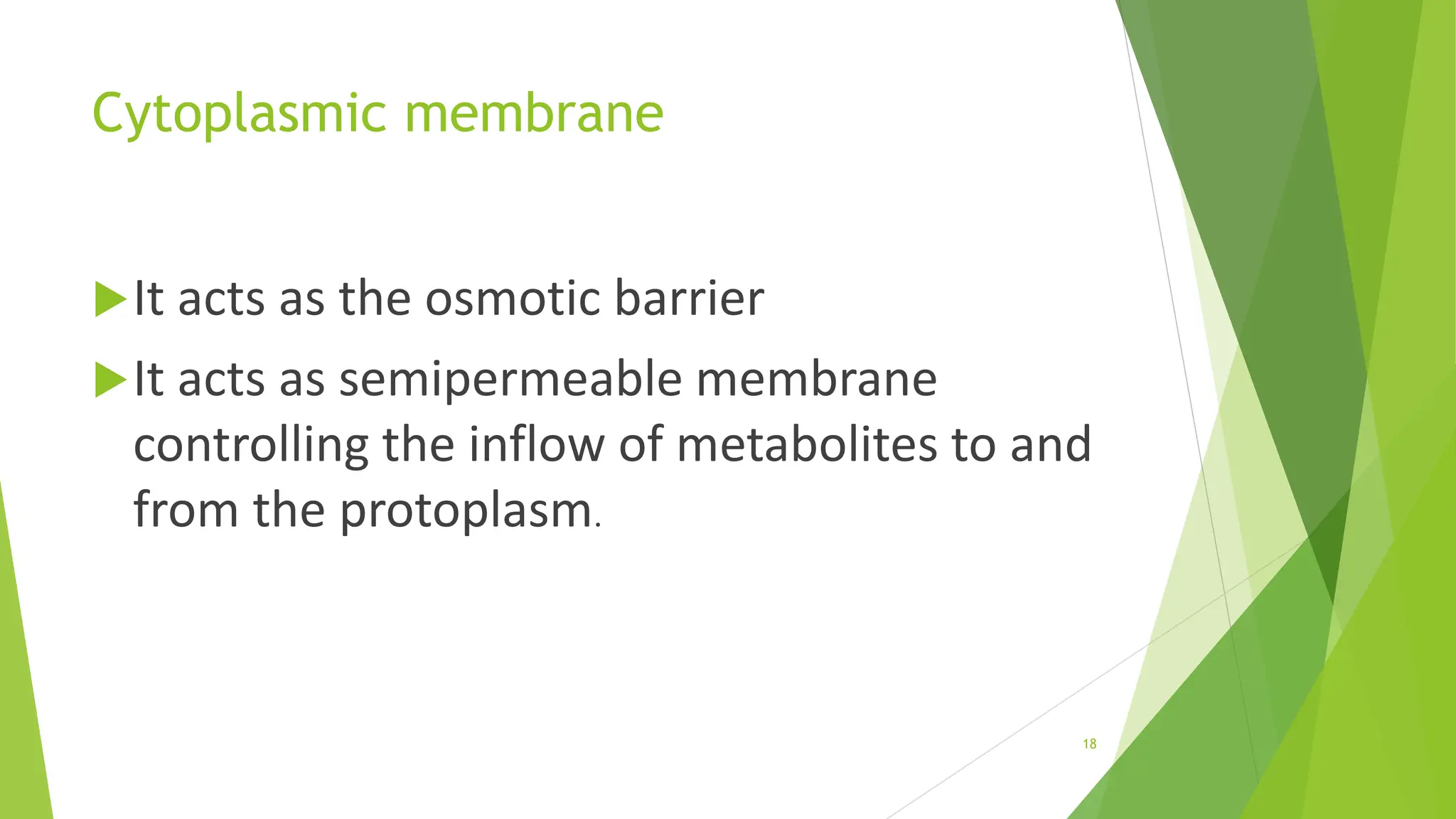 Cytoplasmic membrane
It acts as the osmotic barrier
It acts as semipermeable membrane
controlling the inflow of metabolites to and
from the protoplasm.
18
 