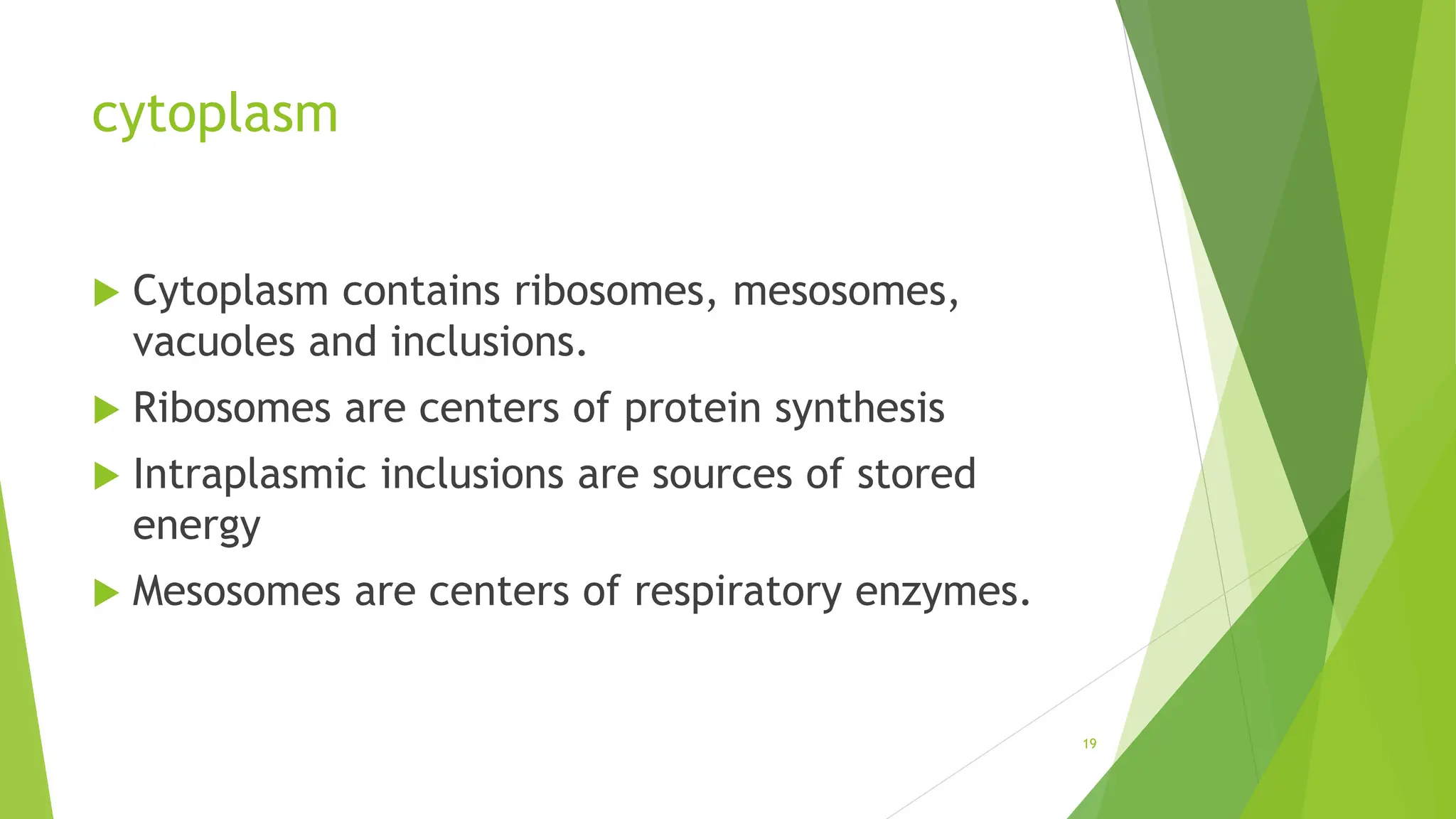 cytoplasm
 Cytoplasm contains ribosomes, mesosomes,
vacuoles and inclusions.
 Ribosomes are centers of protein synthesis
 Intraplasmic inclusions are sources of stored
energy
 Mesosomes are centers of respiratory enzymes.
19
 