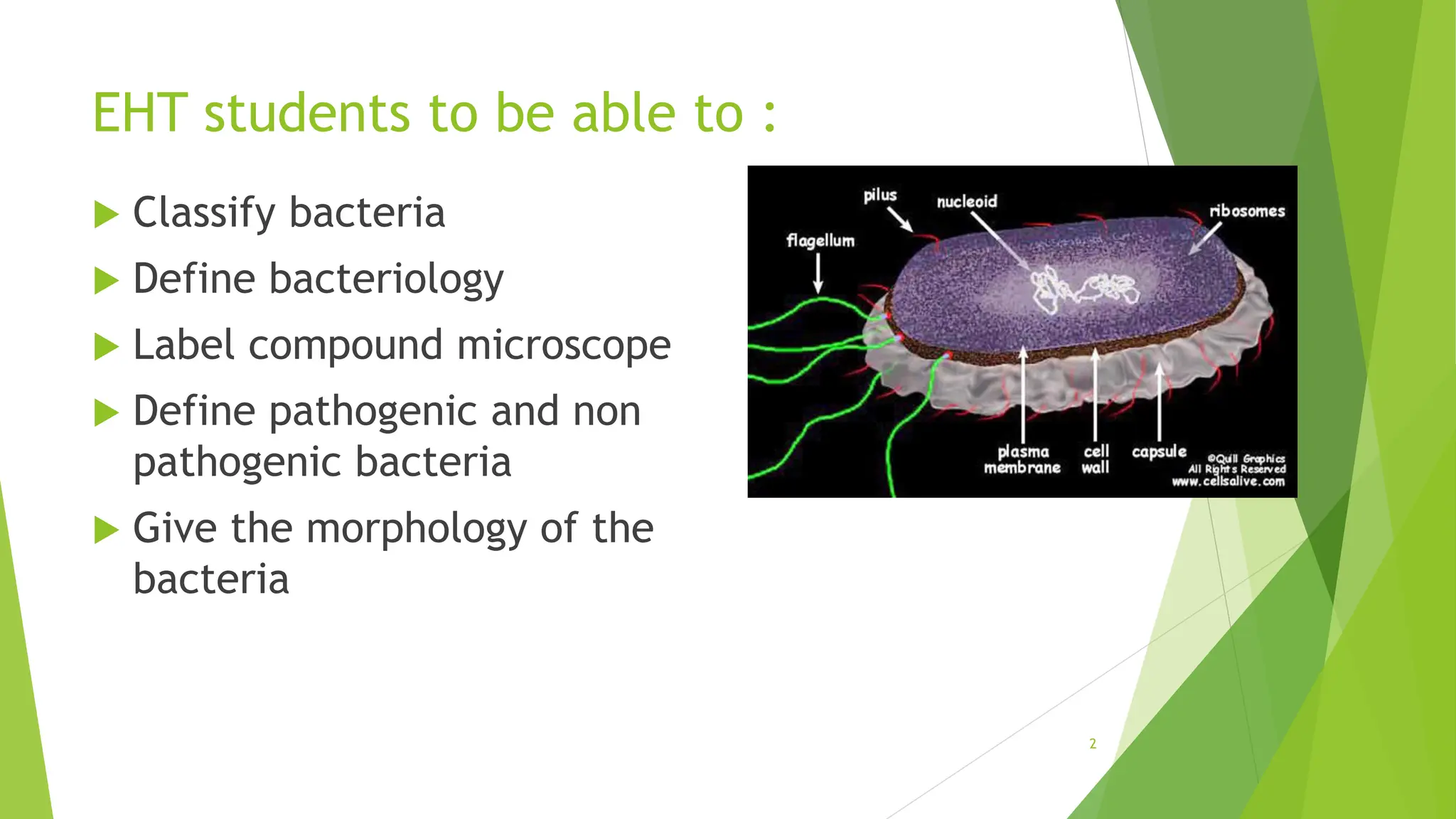 EHT students to be able to :
 Classify bacteria
 Define bacteriology
 Label compound microscope
 Define pathogenic and non
pathogenic bacteria
 Give the morphology of the
bacteria
2
 