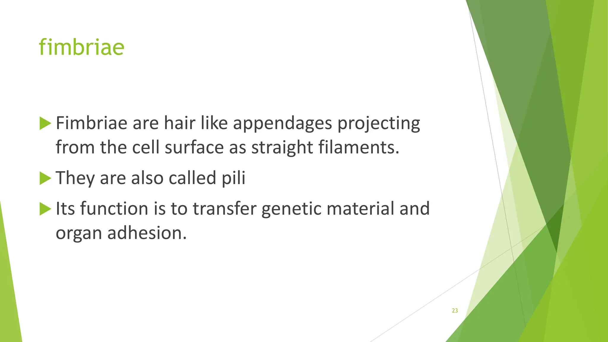 fimbriae
 Fimbriae are hair like appendages projecting
from the cell surface as straight filaments.
 They are also called pili
 Its function is to transfer genetic material and
organ adhesion.
23
 