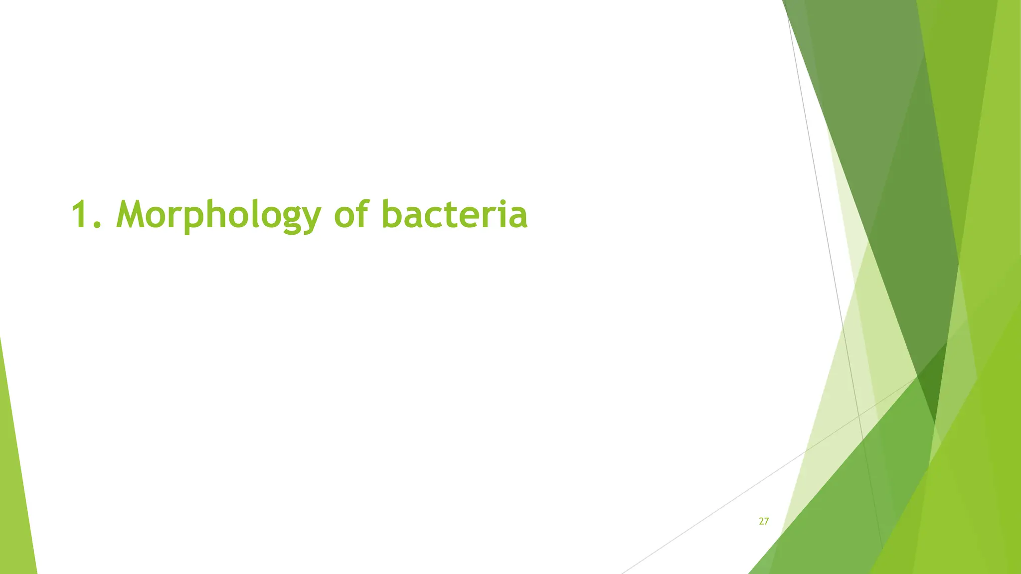 1. Morphology of bacteria
27
 
