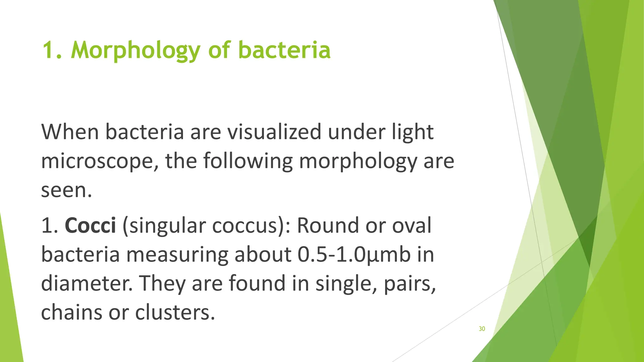 1. Morphology of bacteria
When bacteria are visualized under light
microscope, the following morphology are
seen.
1. Cocci (singular coccus): Round or oval
bacteria measuring about 0.5-1.0μmb in
diameter. They are found in single, pairs,
chains or clusters. 30
 