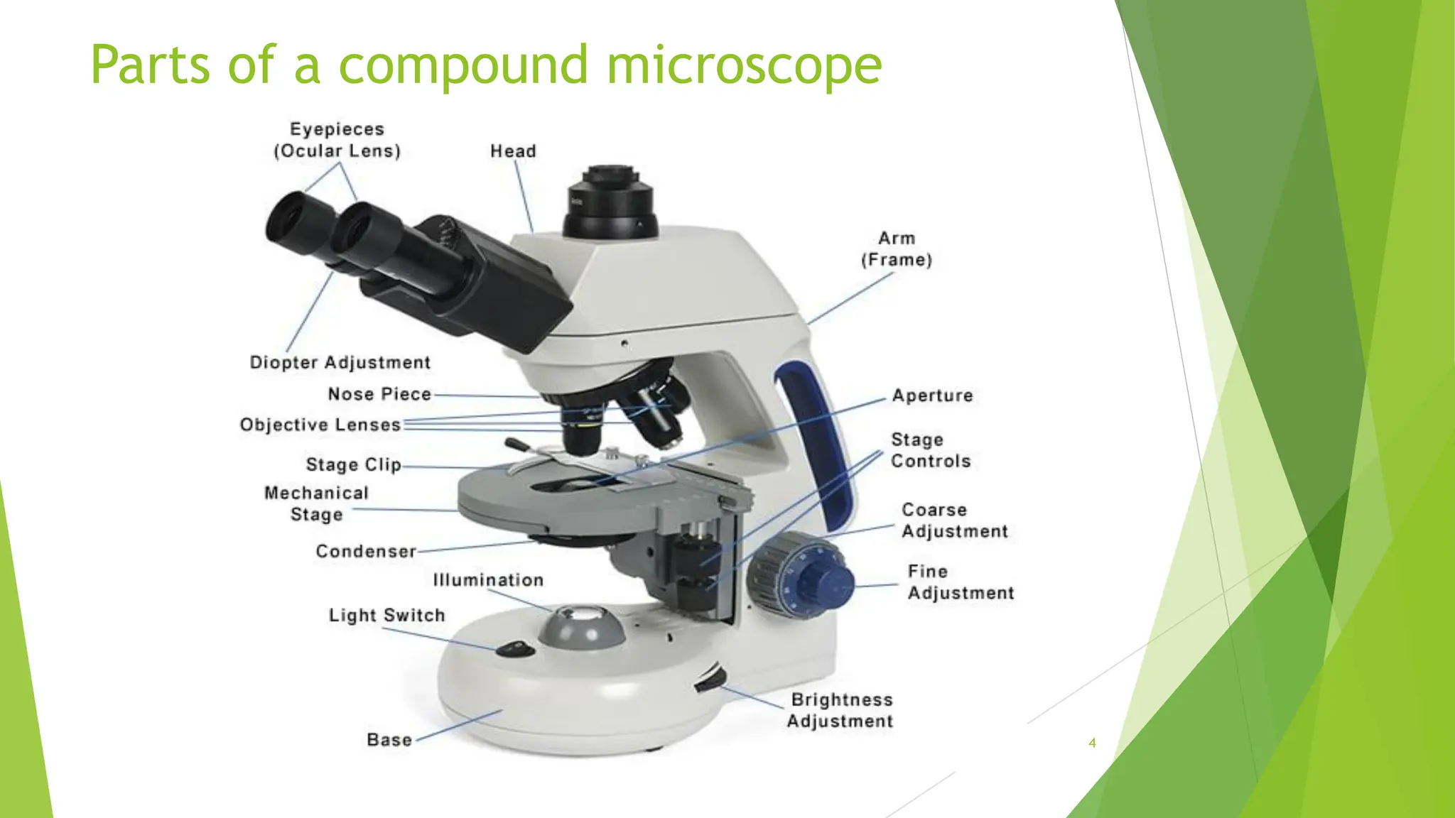 Parts of a compound microscope
4
 