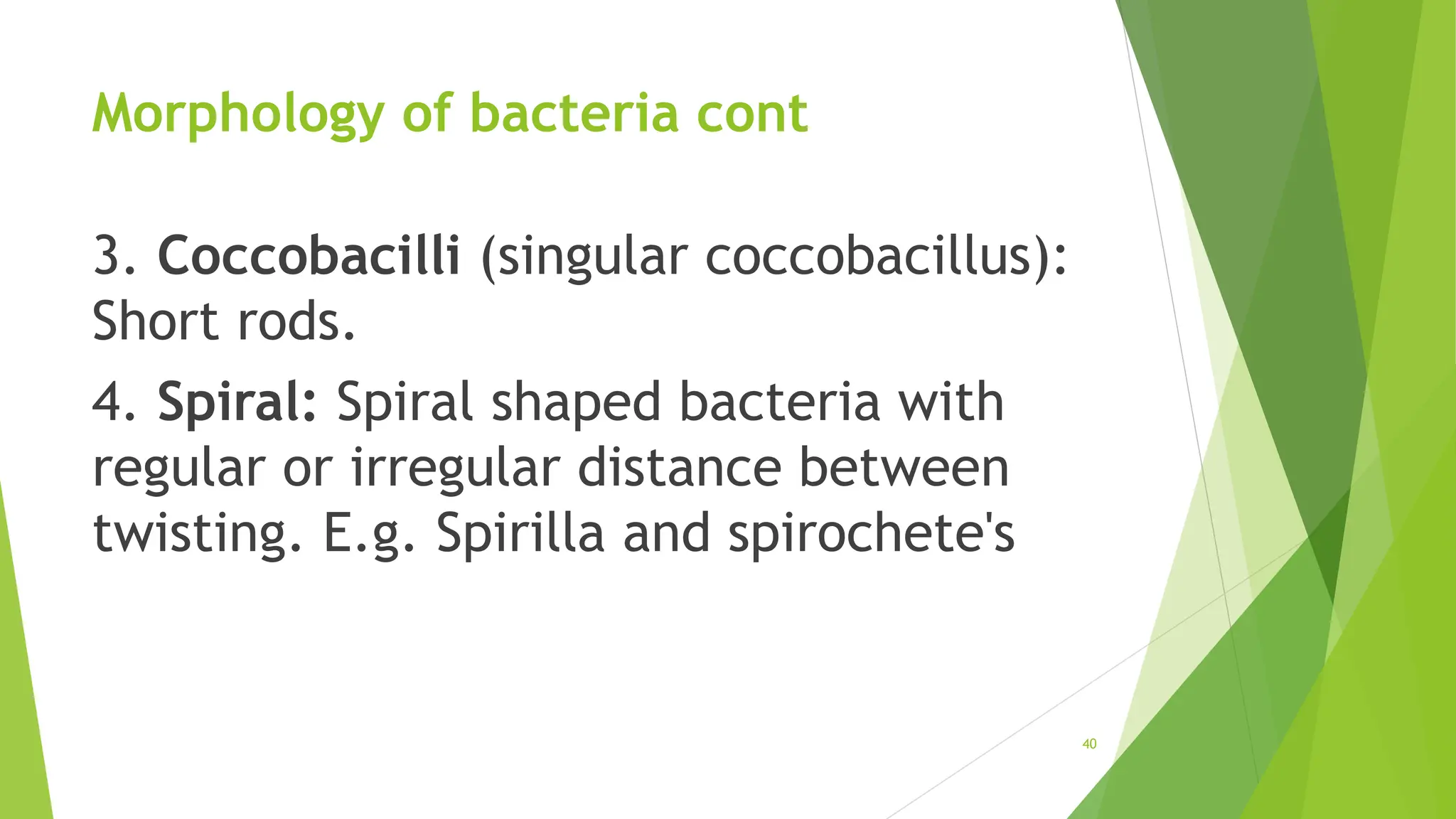 Morphology of bacteria cont
3. Coccobacilli (singular coccobacillus):
Short rods.
4. Spiral: Spiral shaped bacteria with
regular or irregular distance between
twisting. E.g. Spirilla and spirochete's
40
 