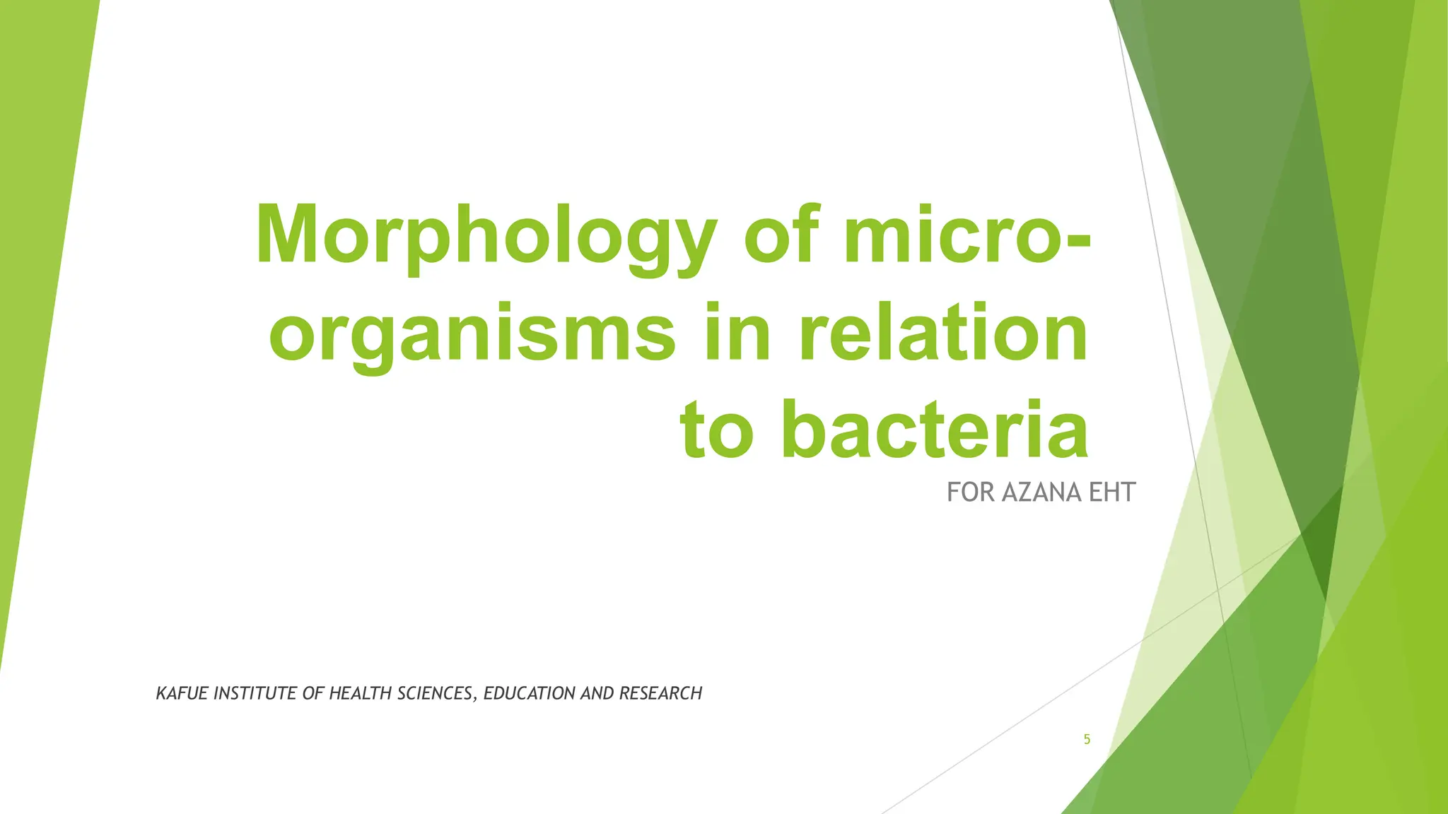Morphology of micro-
organisms in relation
to bacteria
FOR AZANA EHT
KAFUE INSTITUTE OF HEALTH SCIENCES, EDUCATION AND RESEARCH
5
 