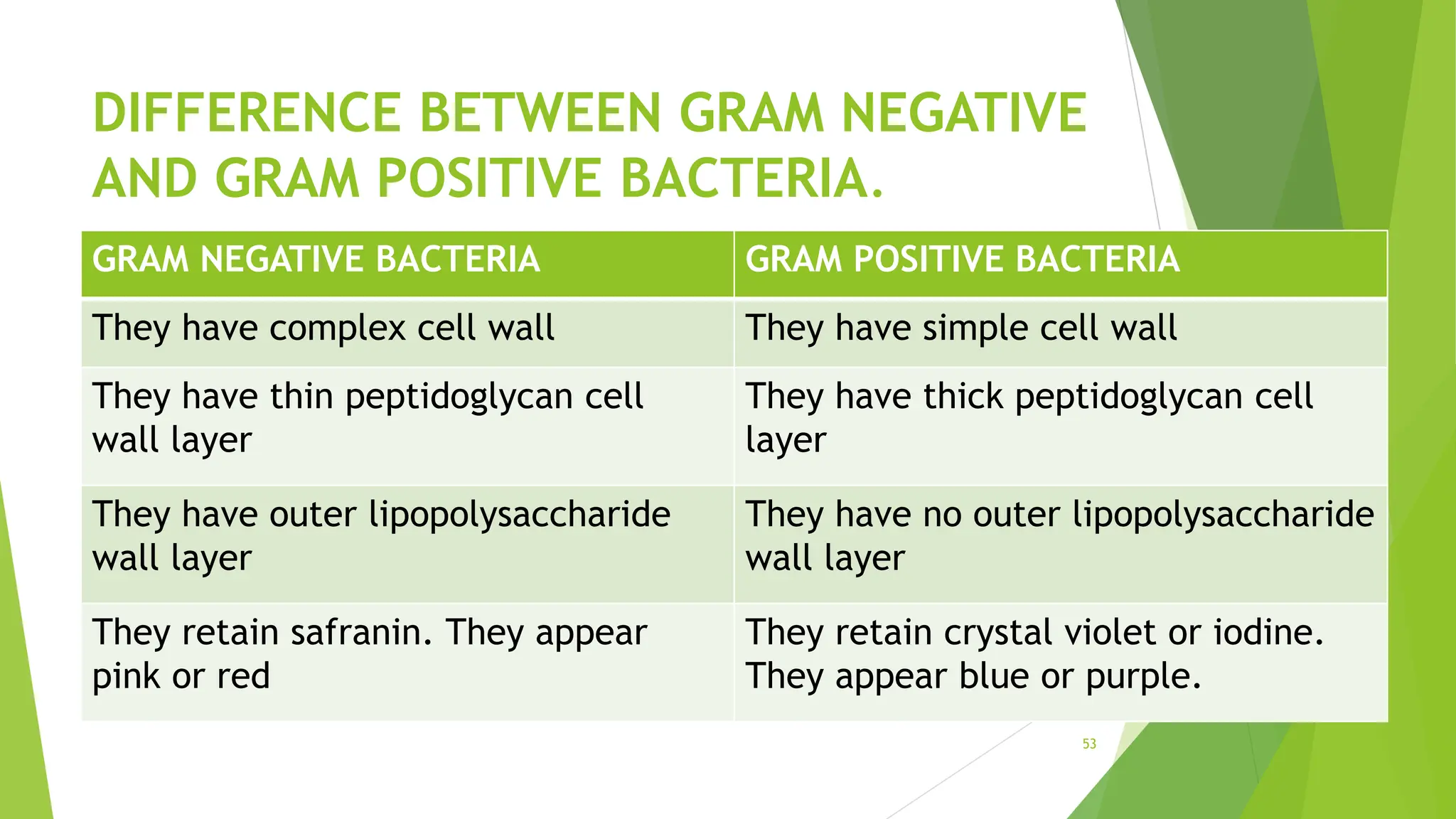 DIFFERENCE BETWEEN GRAM NEGATIVE
AND GRAM POSITIVE BACTERIA.
GRAM NEGATIVE BACTERIA GRAM POSITIVE BACTERIA
They have complex cell wall They have simple cell wall
They have thin peptidoglycan cell
wall layer
They have thick peptidoglycan cell
layer
They have outer lipopolysaccharide
wall layer
They have no outer lipopolysaccharide
wall layer
They retain safranin. They appear
pink or red
They retain crystal violet or iodine.
They appear blue or purple.
53
 