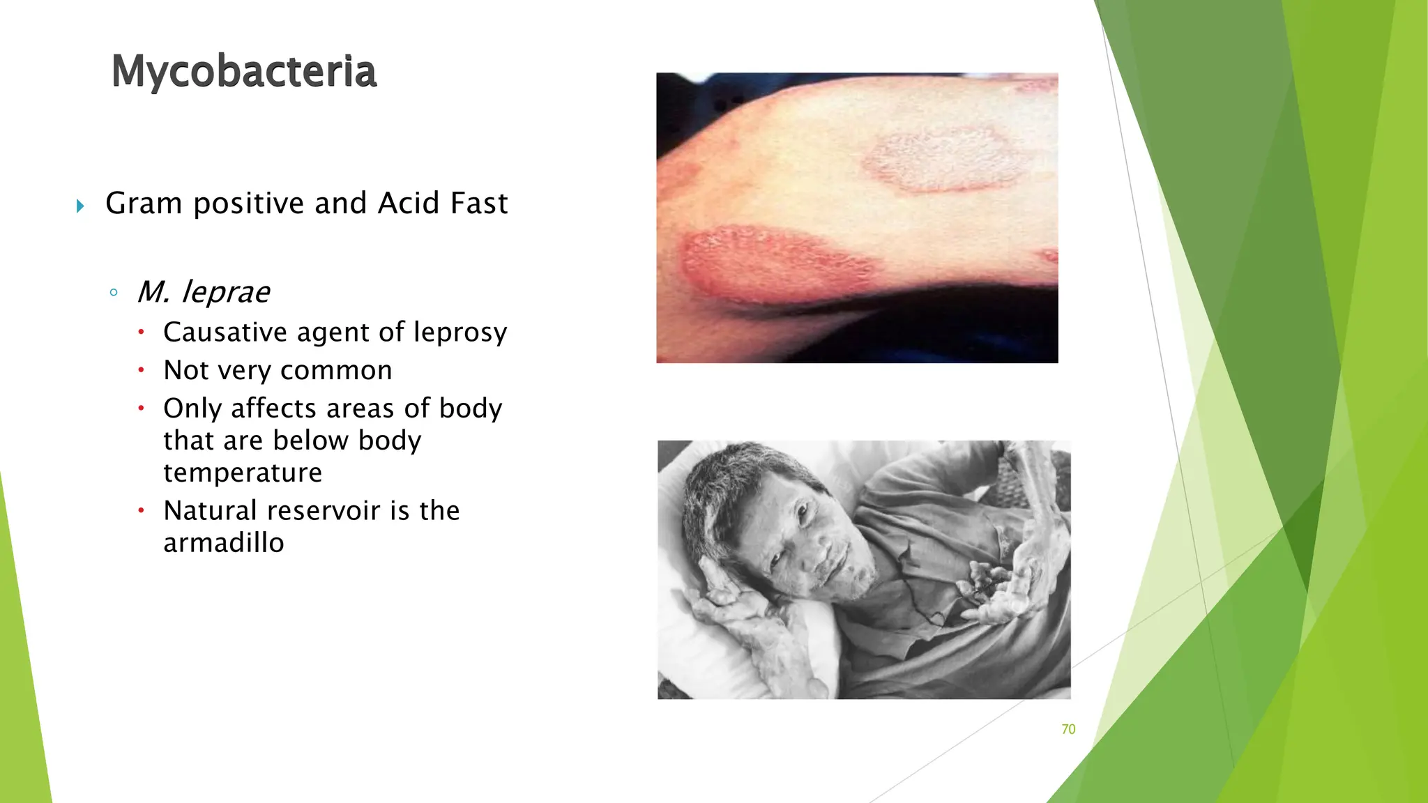 Mycobacteria
 Gram positive and Acid Fast
◦ M. leprae
 Causative agent of leprosy
 Not very common
 Only affects areas of body
that are below body
temperature
 Natural reservoir is the
armadillo
70
 