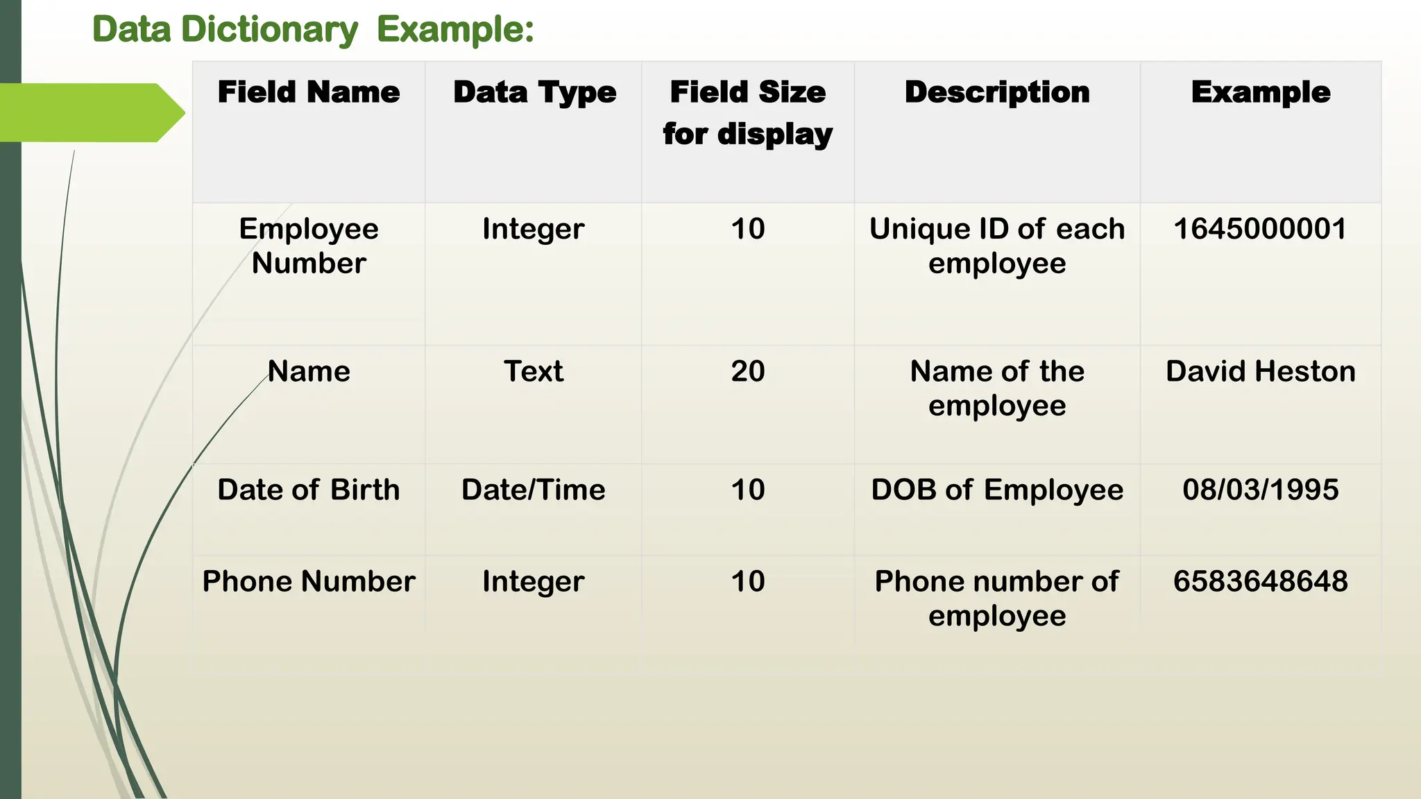 Data Dictionary Example:
Field Name Data Type Field Size
for display
Description Example
Employee
Number
Integer 10 Unique ID of each
employee
1645000001
Name Text 20 Name of the
employee
David Heston
Date of Birth Date/Time 10 DOB of Employee 08/03/1995
Phone Number Integer 10 Phone number of
employee
6583648648
 