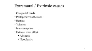 Extramural / Extrinsic causes
• Congenital bands
• Postoperative adhesions
• Hernias
• Volvulus
• Intussusception
• External mass effect
• Abscess
• Neoplastic
16
 