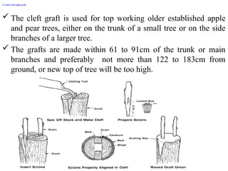 2. Asexual propagation of fruit crops and .pptx